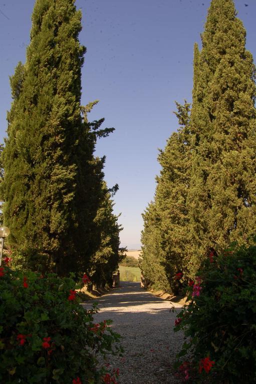Agriturismo San Francesco Amalia And Anna Orciatico Exterior photo