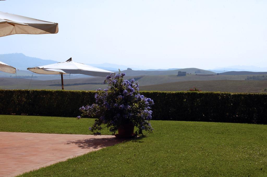 Agriturismo San Francesco Amalia And Anna Orciatico Exterior photo